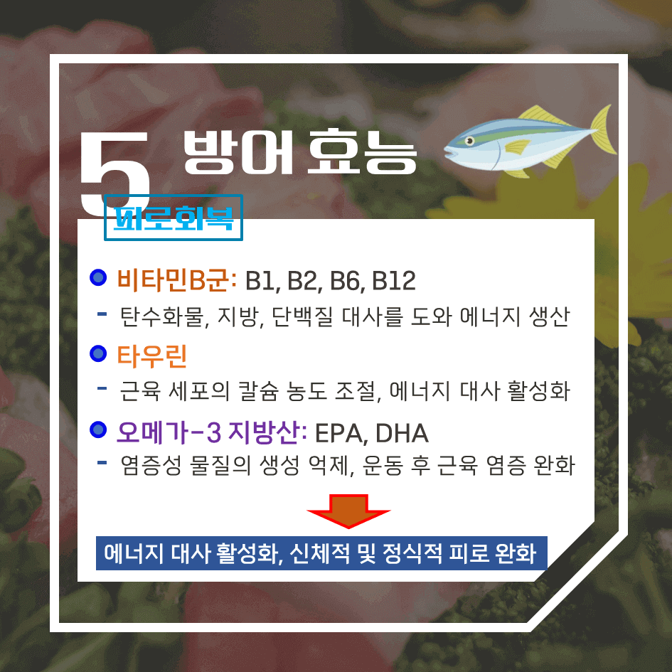 겨울의 진미! 방어 효능 & 칼로리 : 이 계절 꼭 먹어야 하는 이유