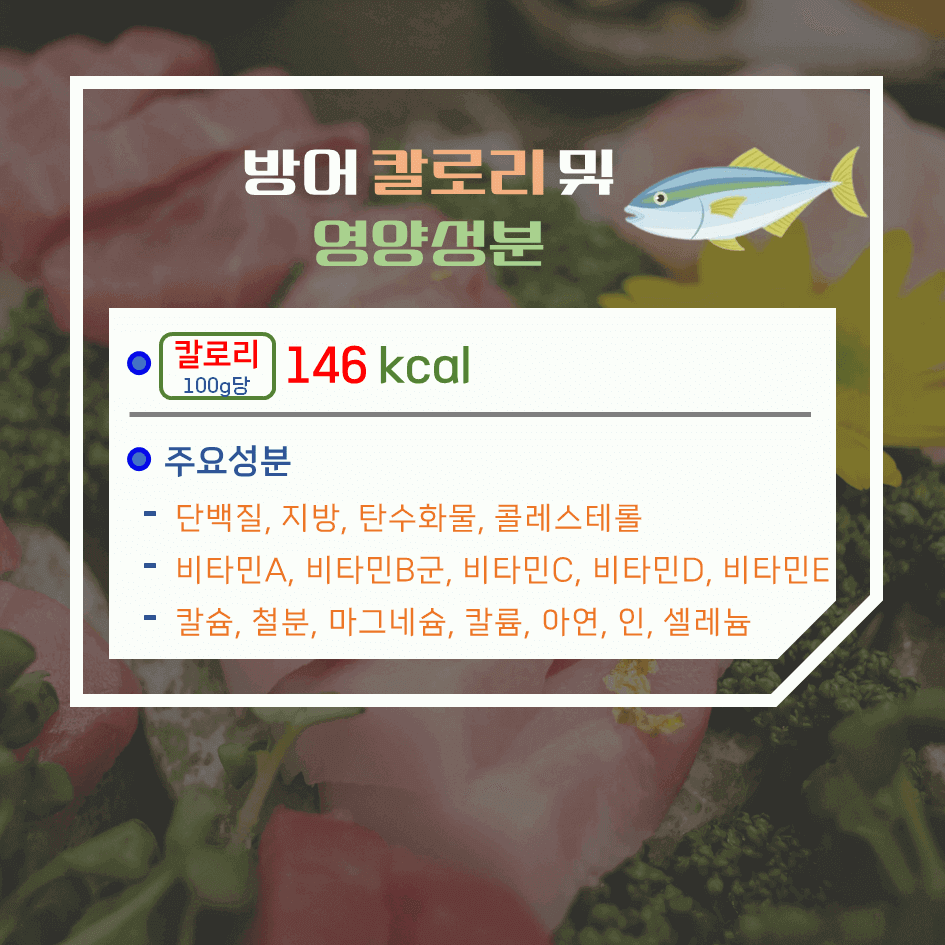 겨울의 진미! 방어 효능 & 칼로리 : 이 계절 꼭 먹어야 하는 이유