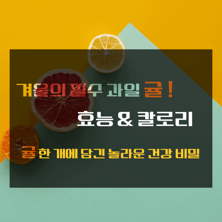 겨울의 필수 과일 귤! 효능 & 칼로리 : 귤 한 개에 담긴 놀라운 건강 비밀!