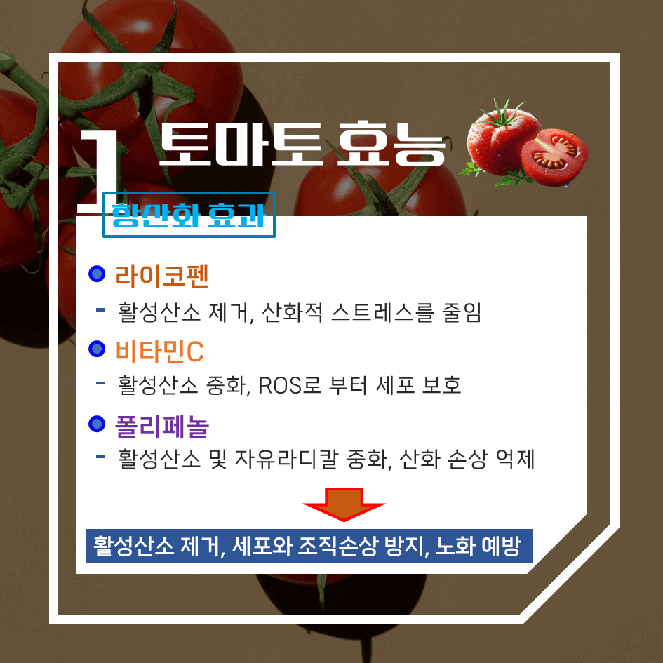 맛과 건강의 완벽한 조화! 토마토 효능 & 칼로리 1탄 : 빨간 건강 열매의 비밀