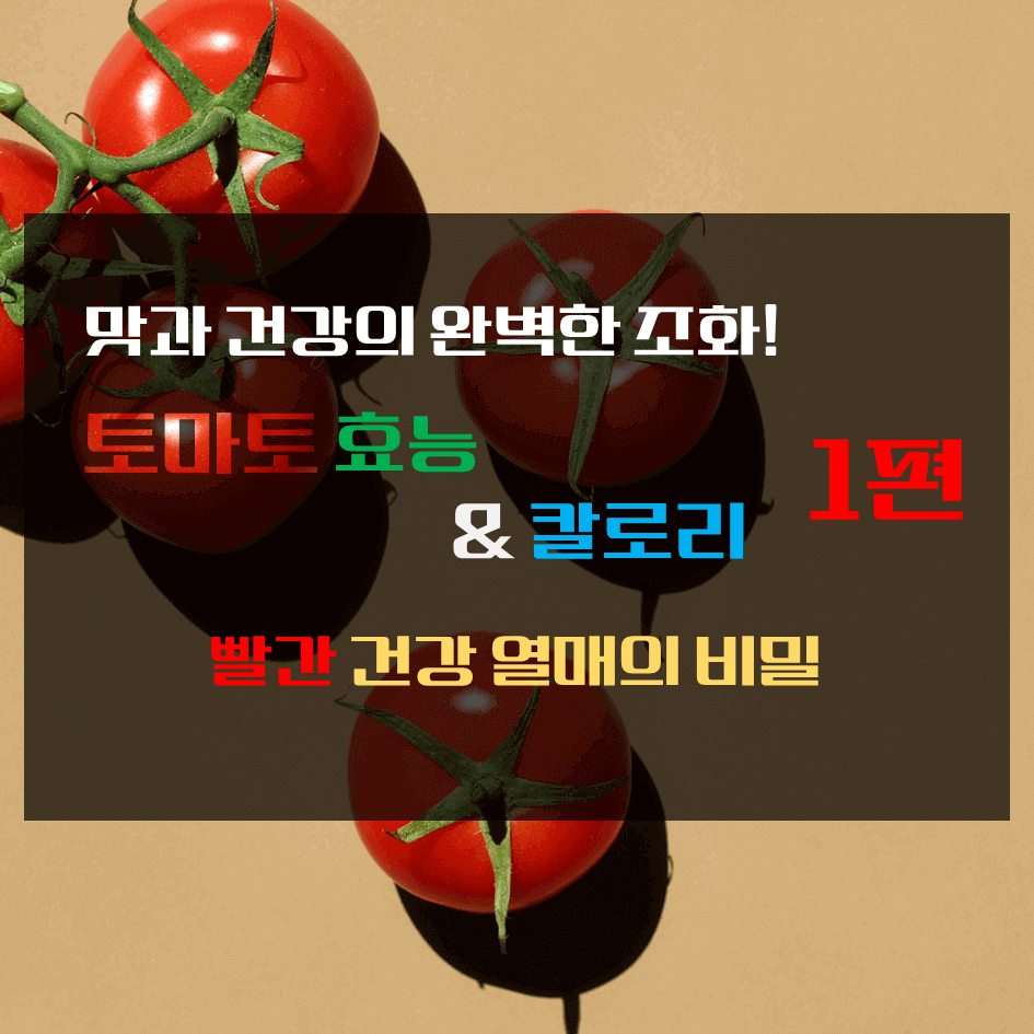 맛과 건강의 완벽한 조화! 토마토 효능 & 칼로리 1탄 : 빨간 건강 열매의 비밀