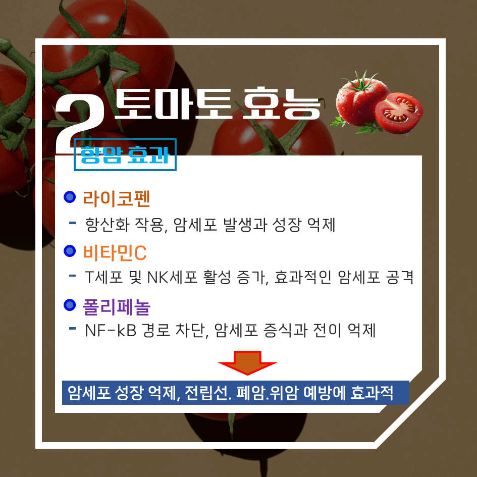 맛과 건강의 완벽한 조화! 토마토 효능 & 칼로리 1탄 : 빨간 건강 열매의 비밀