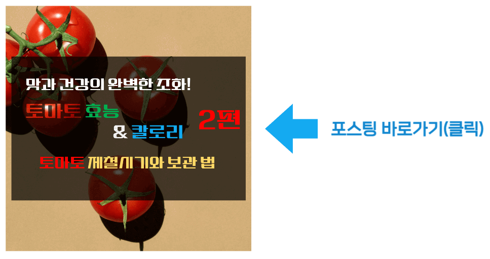 맛과 건강의 완벽한 조화! 토마토 효능 & 칼로리 2탄 바로가기