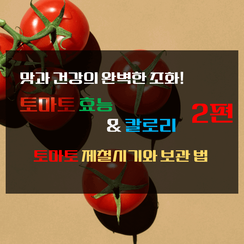 맛과 건강의 완벽한 조화! 토마토 효능 & 칼로리 2탄 : 토마토 제철 시기와 보관법