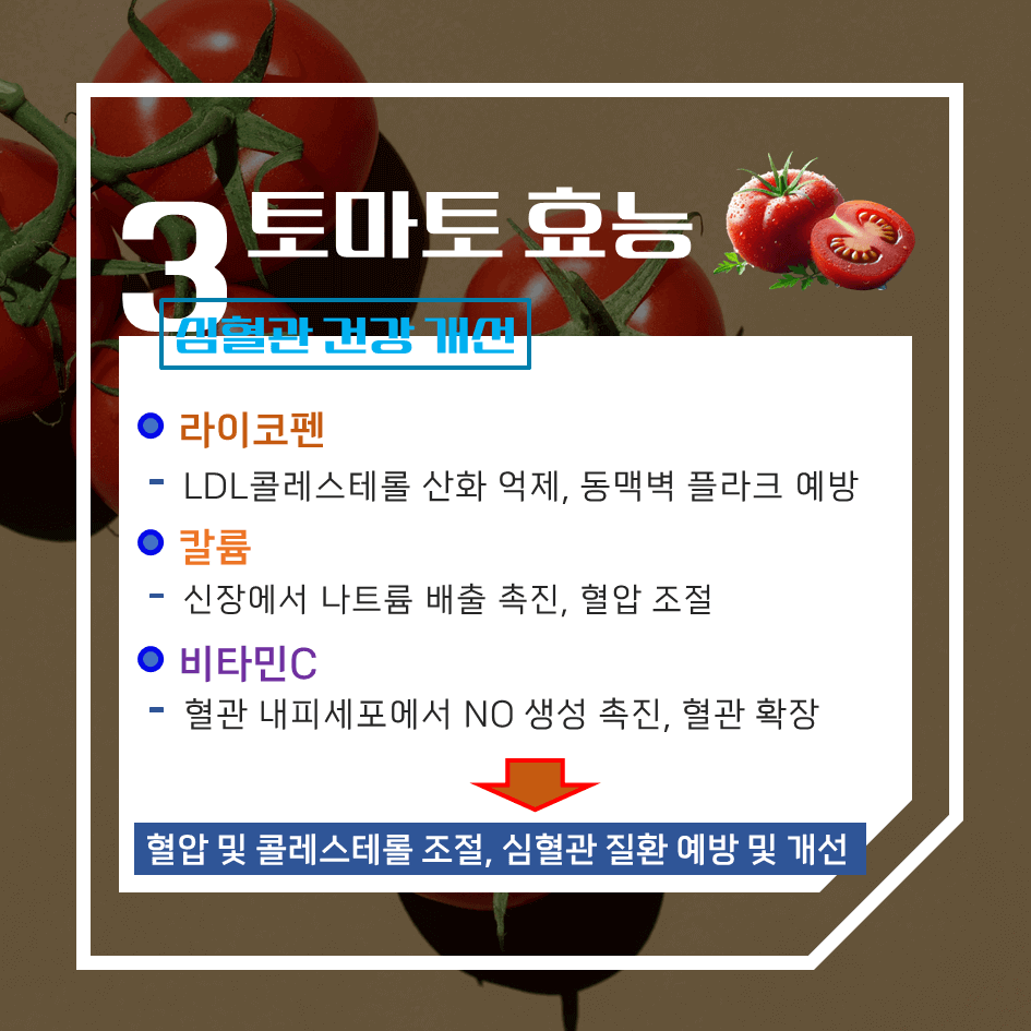 맛과 건강의 완벽한 조화! 토마토 효능 & 칼로리 1탄 : 빨간 건강 열매의 비밀