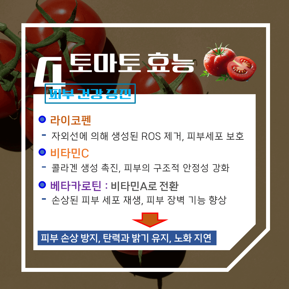 맛과 건강의 완벽한 조화! 토마토 효능 & 칼로리 1탄 : 빨간 건강 열매의 비밀