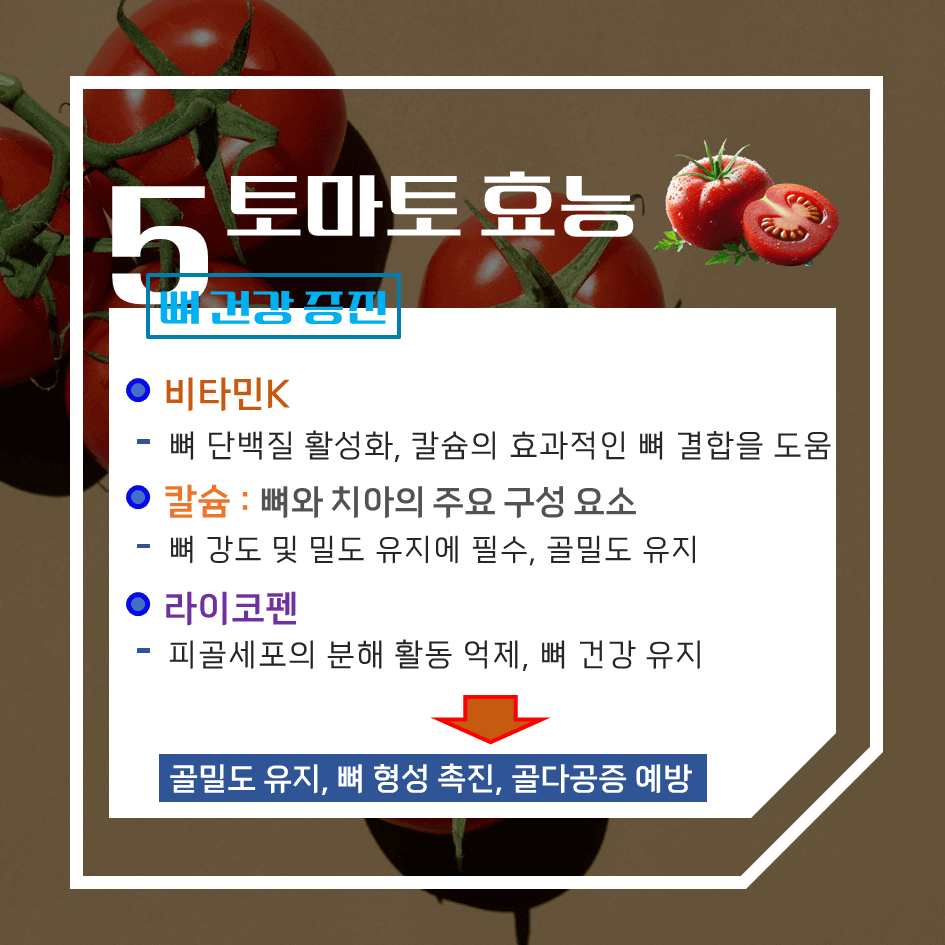 맛과 건강의 완벽한 조화! 토마토 효능 & 칼로리 1탄 : 빨간 건강 열매의 비밀