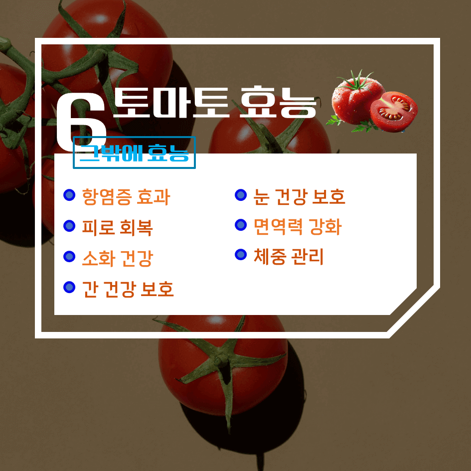 맛과 건강의 완벽한 조화! 토마토 효능 & 칼로리 1탄 : 빨간 건강 열매의 비밀