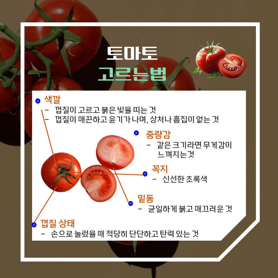 맛과 건강의 완벽한 조화! 토마토 효능 & 칼로리 2탄 : 토마토 제철 시기와 보관법