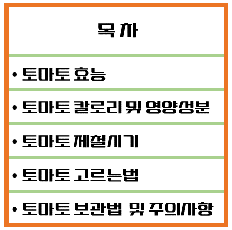 맛과 건강의 완벽한 조화! 토마토 효능 & 칼로리 1탄 : 빨간 건강 열매의 비밀