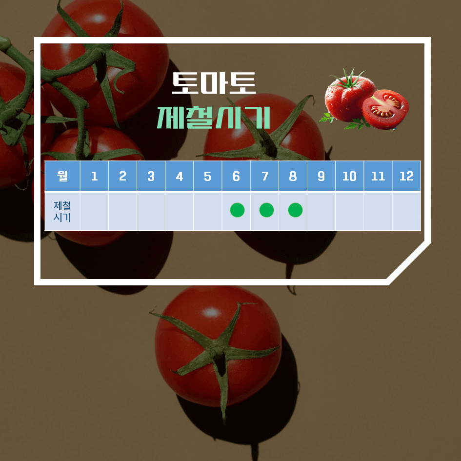 맛과 건강의 완벽한 조화! 토마토 효능 & 칼로리 2탄 : 토마토 제철 시기와 보관법