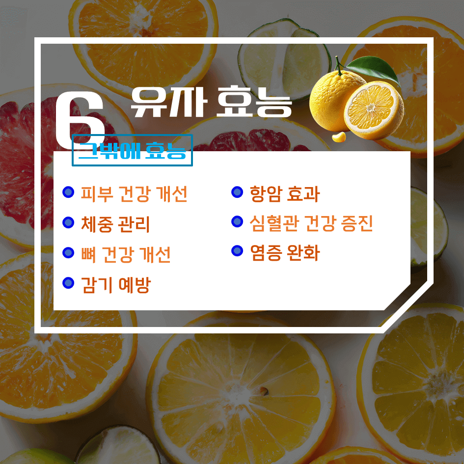 상큼한 겨울 건강 보물! 유자 효능 & 칼로리 : 비타민 가득 디톡스 음식