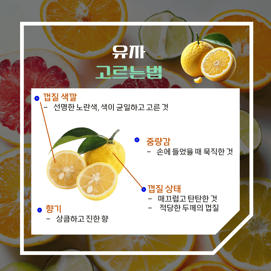상큼한 겨울 건강 보물! 유자 효능 & 칼로리 : 비타민 가득 디톡스 음식