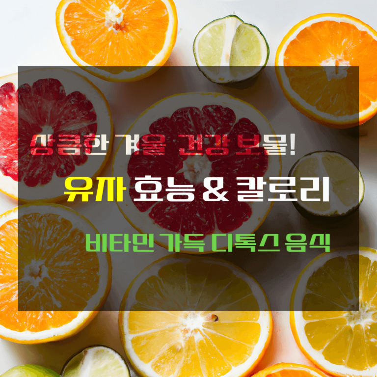 상큼한 겨울 건강 보물! 유자 효능 & 칼로리 : 비타민 가득 디톡스 음식