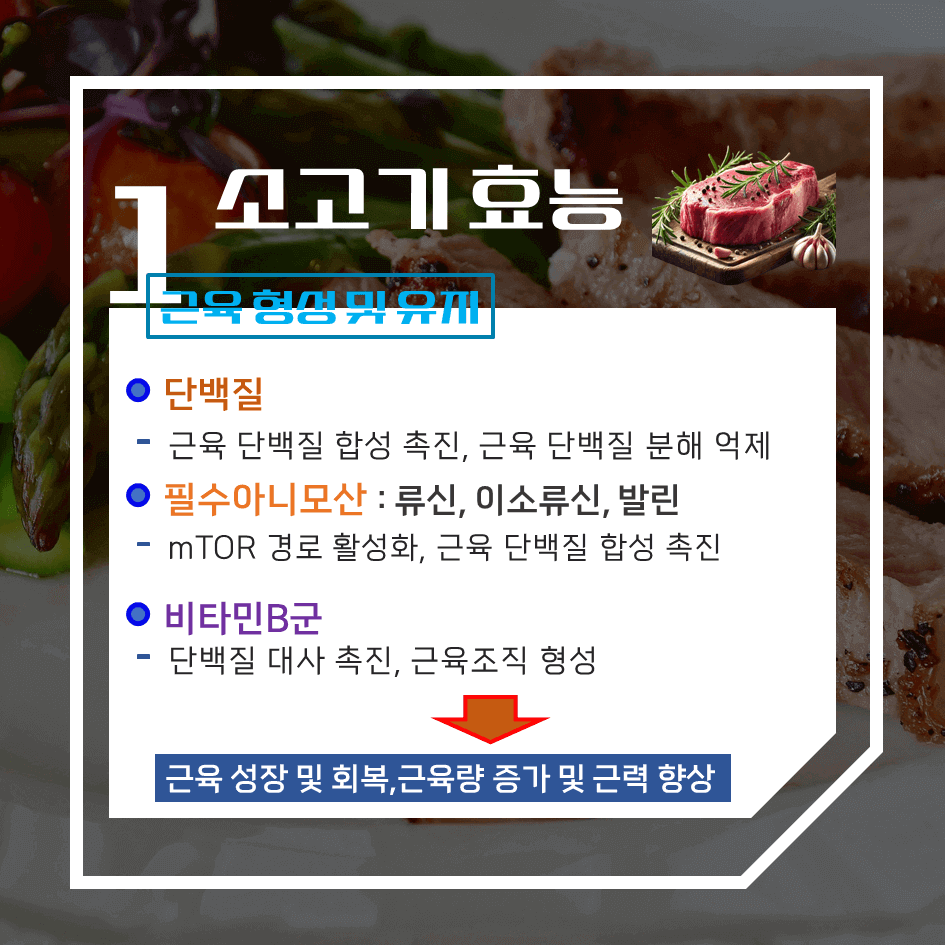 건강과 맛을 한번에! 소고기 효능 & 칼로리 1탄 : 고단백, 에너지충전, 근육 강화 영양식