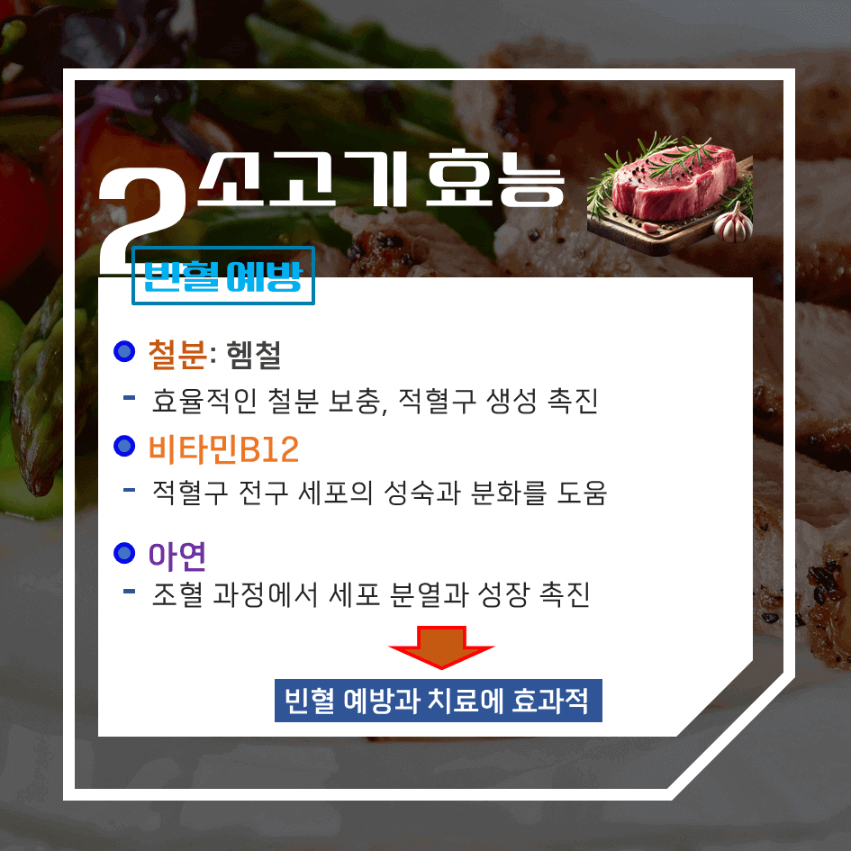 건강과 맛을 한번에! 소고기 효능 & 칼로리 1탄 : 고단백, 에너지충전, 근육 강화 영양식