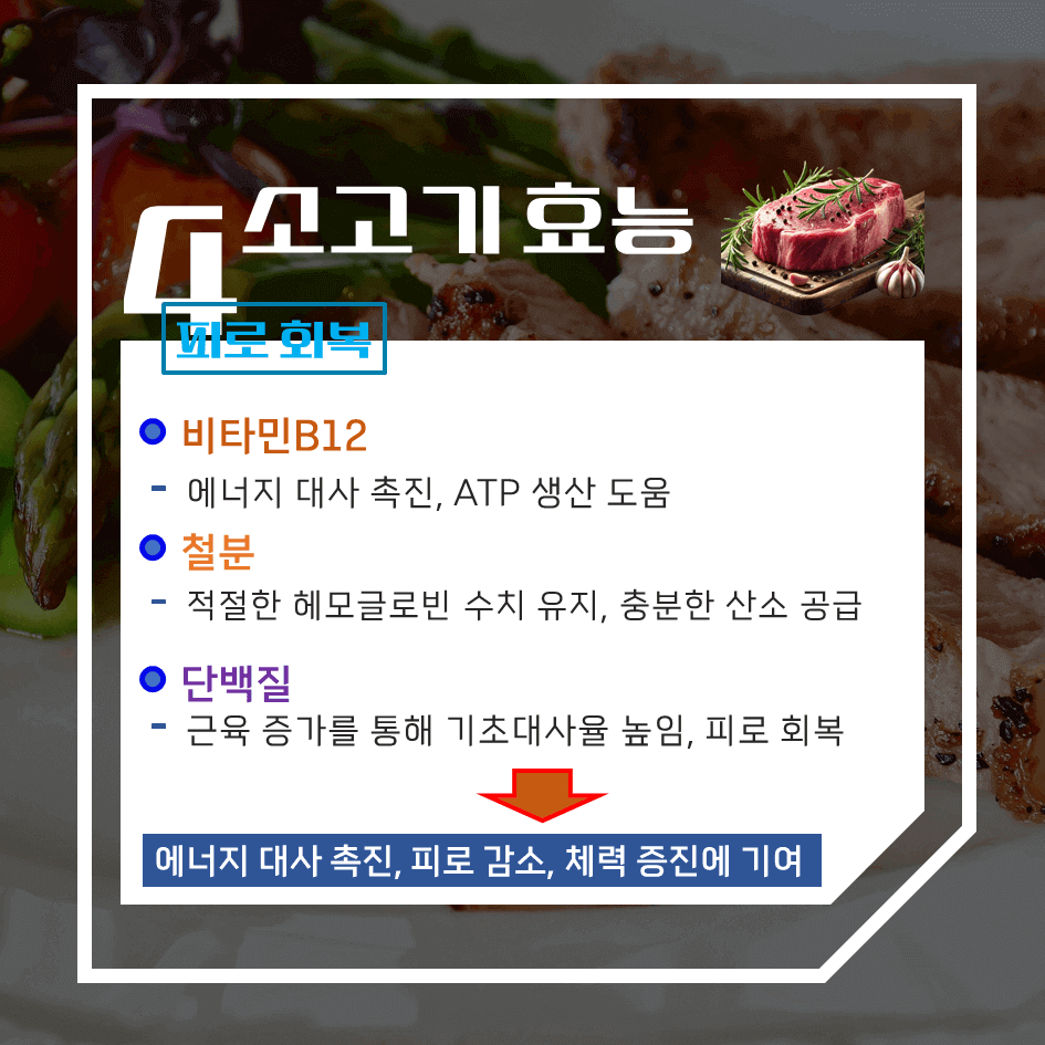 건강과 맛을 한번에! 소고기 효능 & 칼로리 1탄 : 고단백, 에너지충전, 근육 강화 영양식