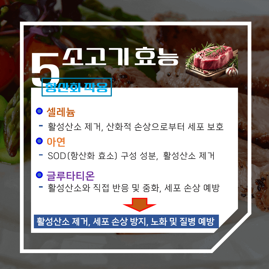 건강과 맛을 한번에! 소고기 효능 & 칼로리 1탄 : 고단백, 에너지충전, 근육 강화 영양식
