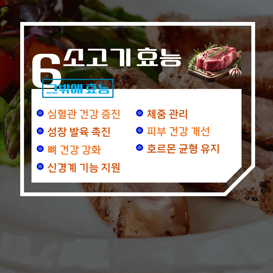건강과 맛을 한번에! 소고기 효능 & 칼로리 1탄 : 고단백, 에너지충전, 근육 강화 영양식