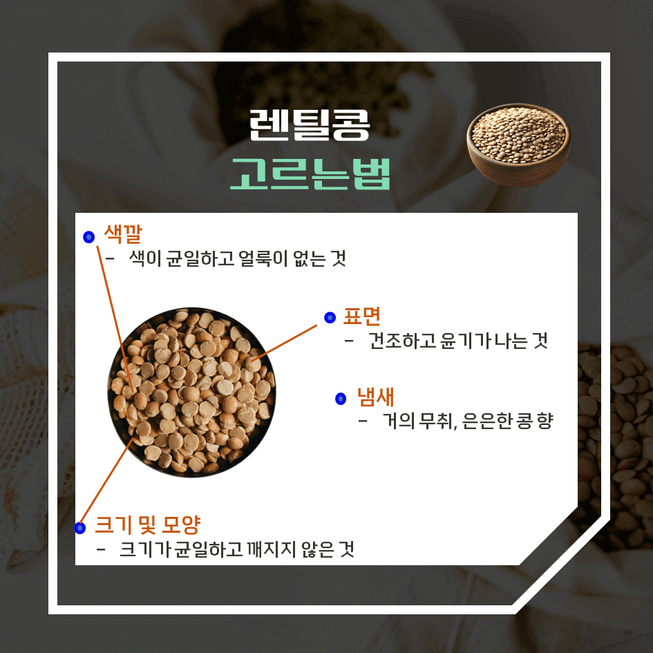 고단백 슈퍼푸드! 렌틸콩 효능 & 칼로리 2탄 : 제대로 고르는 법 & 보관 꿀팁