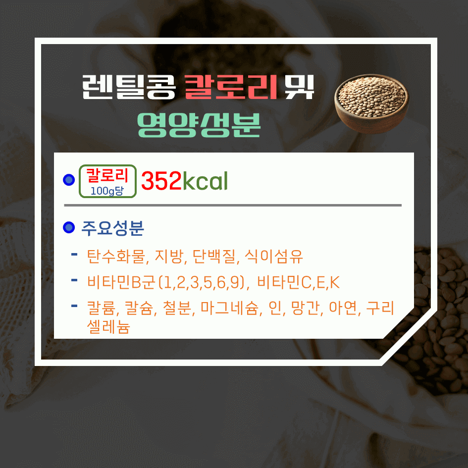 고단백 슈퍼푸드! 렌틸콩 효능 & 칼로리 2탄 : 제대로 고르는 법 & 보관 꿀팁