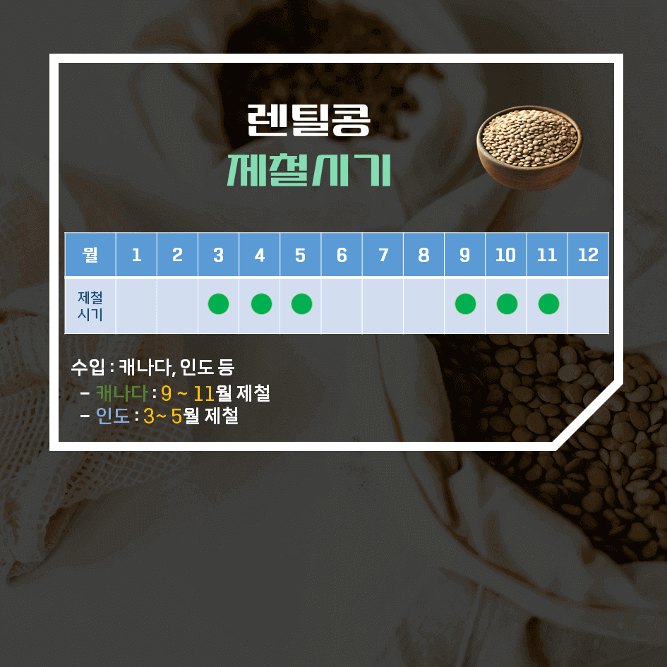 고단백 슈퍼푸드! 렌틸콩 효능 & 칼로리 2탄 : 제대로 고르는 법 & 보관 꿀팁