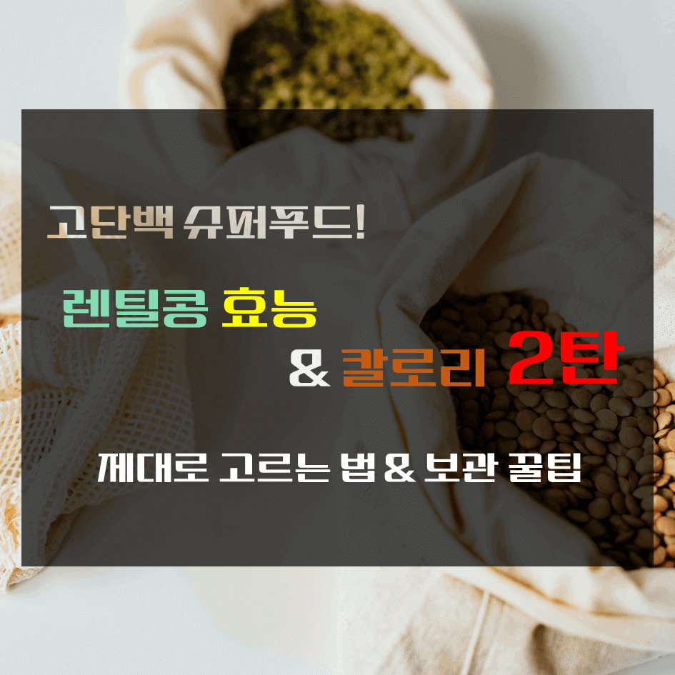 고단백 슈퍼푸드! 렌틸콩 효능 & 칼로리 2탄 : 제대로 고르는 법 & 보관 꿀팁
