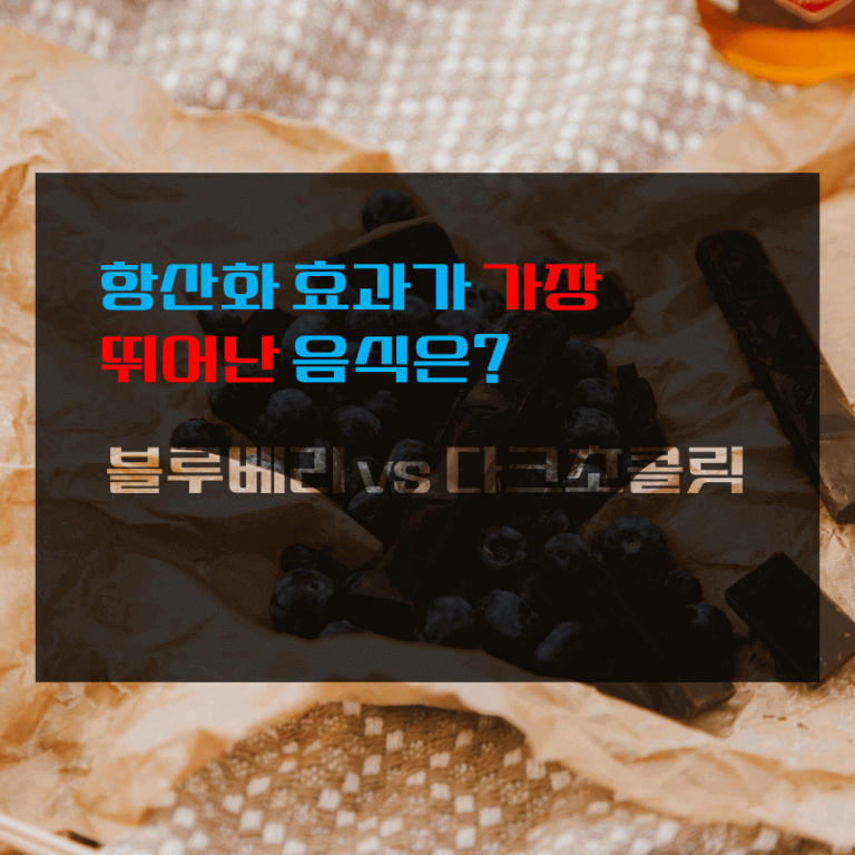 항산화 효과가 가장 뛰어난 음식은? 블루베리 vs 다크초콜릿