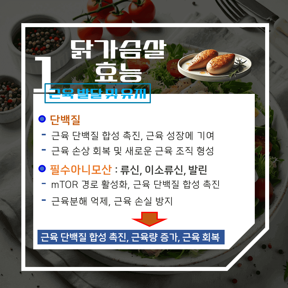 제대로 알고 먹는 닭가슴살! 효능 & 칼로리 1탄 : 근육 성장 & 체중 관리 필수템