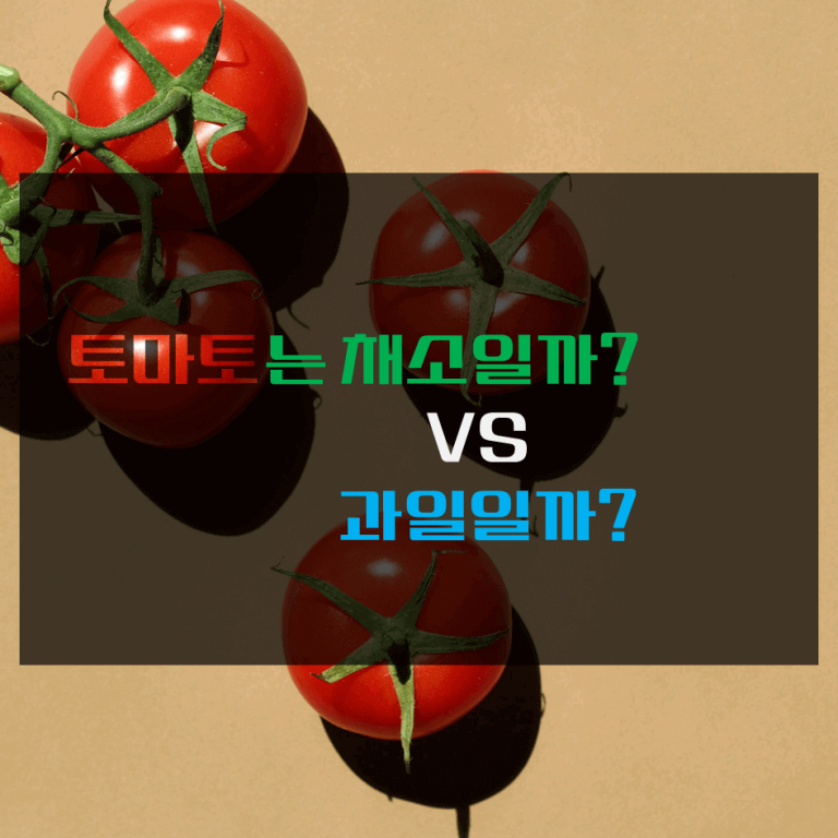 토마토는 채소일까? vs 과일일까? 논란종결!!