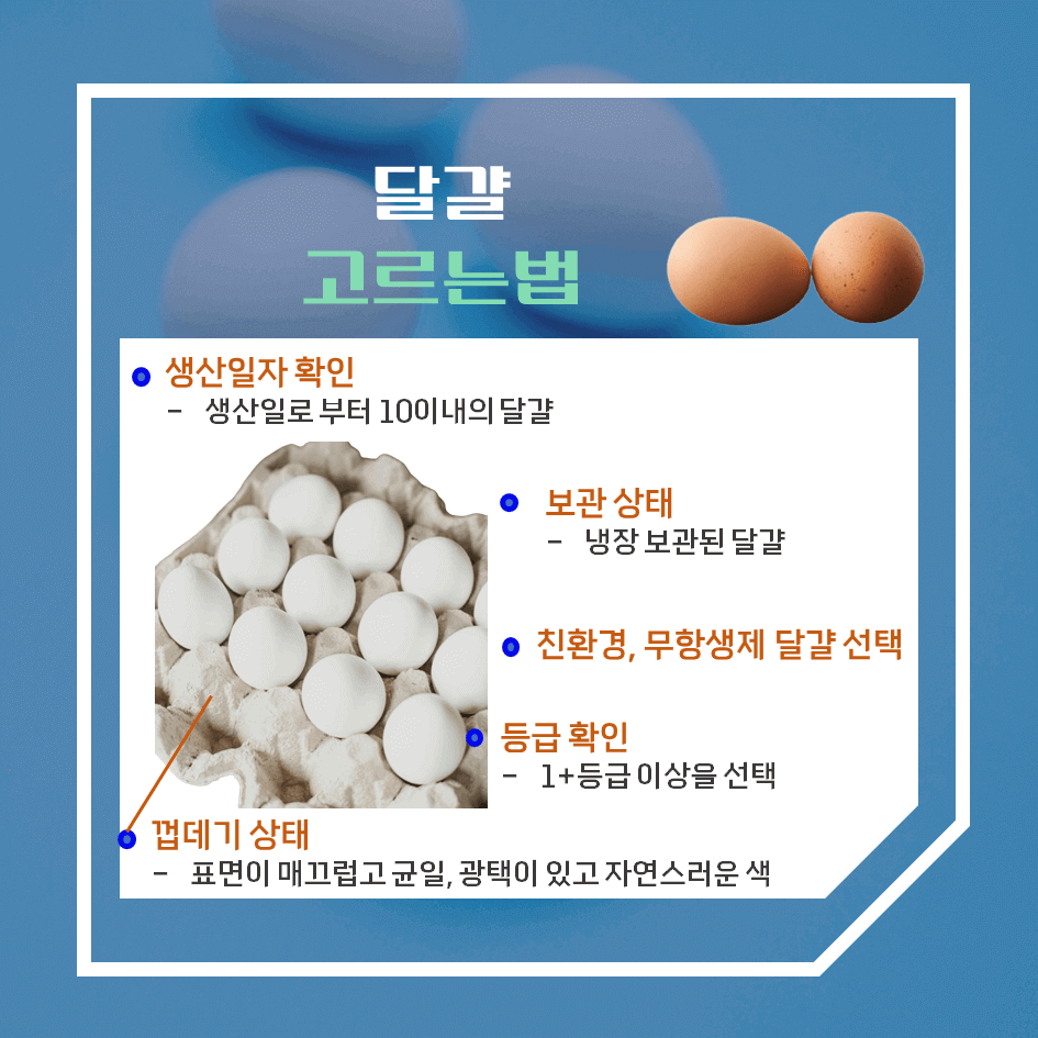 하루 한 알, 완벽한 단백질! 달걀 효능 & 칼로리 2탄 : 신선한 달걀 고르는 법 완벽 가이드