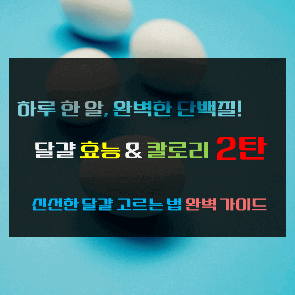 하루 한 알, 완벽한 단백질! 달걀 효능 & 칼로리 2탄 : 신선한 달걀 고르는 법 완벽 가이드
