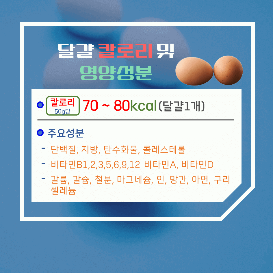 하루 한 알, 완벽한 단백질! 달걀 효능 & 칼로리 2탄 : 신선한 달걀 고르는 법 완벽 가이드