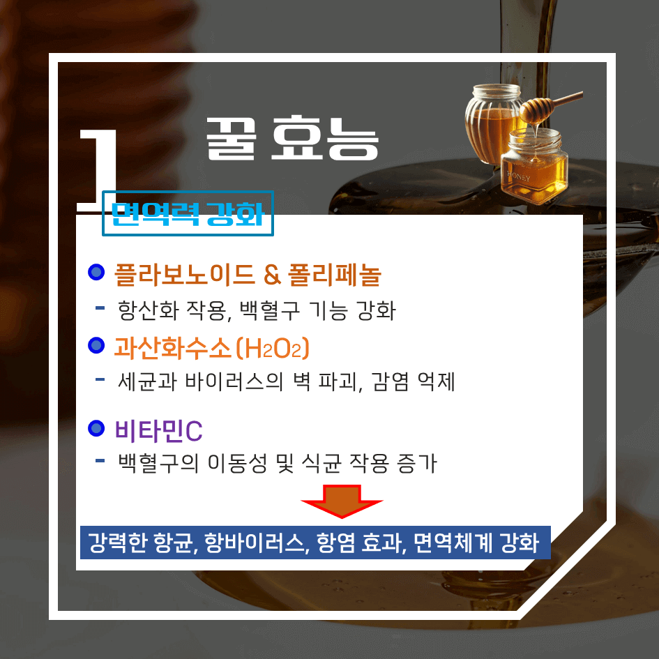 100% 천연꿀! 효능 & 칼로리 1탄 : 당신이 몰랐던 놀라운 건강 효과