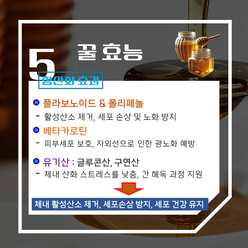 100% 천연꿀! 효능 & 칼로리 1탄 : 당신이 몰랐던 놀라운 건강 효과