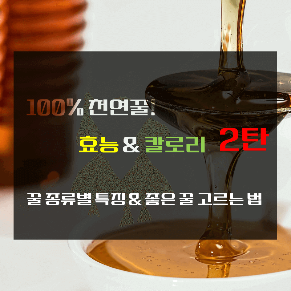 100% 천연꿀! 효능 & 칼로리 2탄 : 꿀 종류별 특징 & 좋은 꿀 고르는 법