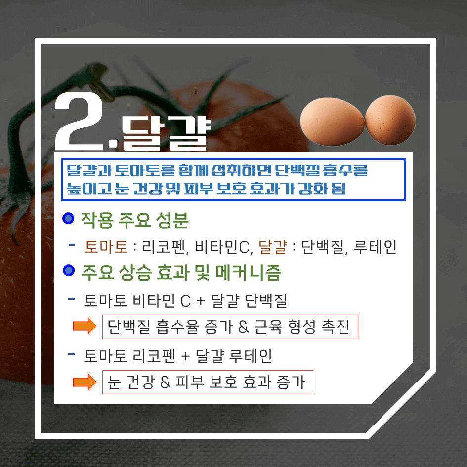영양효과 2배!! 토마토를 더 건강하게 먹는 최고의 음식 TOP 7