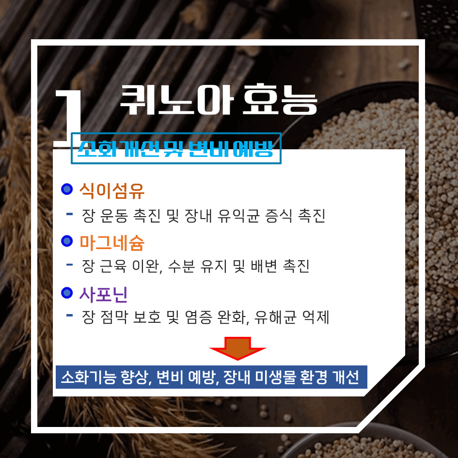 완전 단백질의 슈퍼푸드 퀴노아 효능 & 칼로리 1탄 : 건강과 균형 잡힌 식단의 필수템