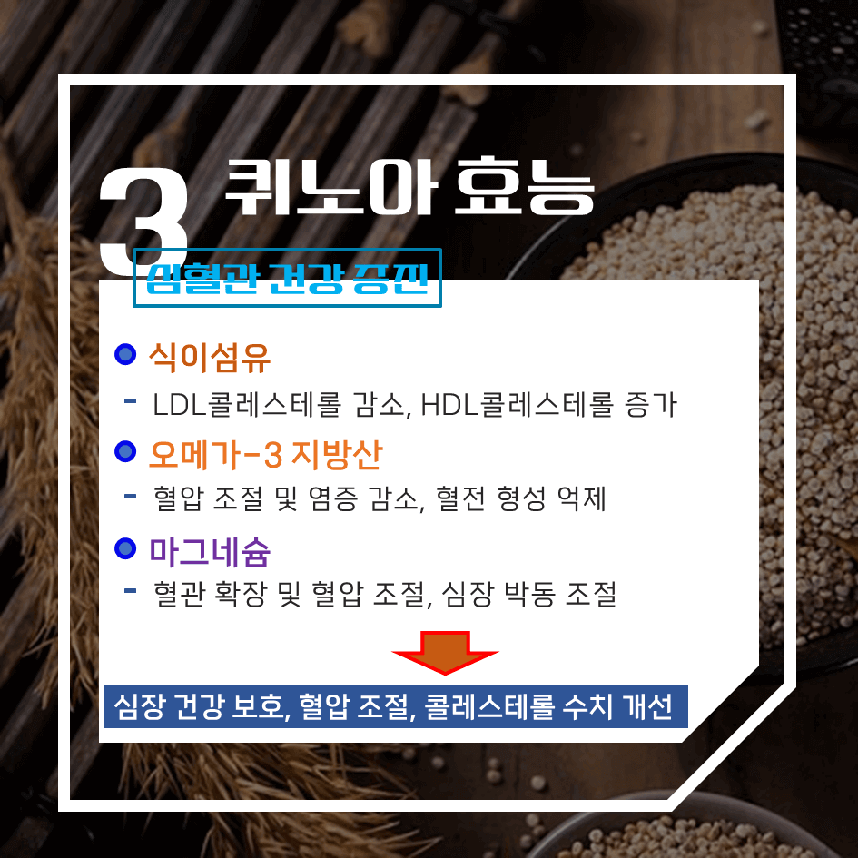 완전 단백질의 슈퍼푸드 퀴노아 효능 & 칼로리 1탄 : 건강과 균형 잡힌 식단의 필수템