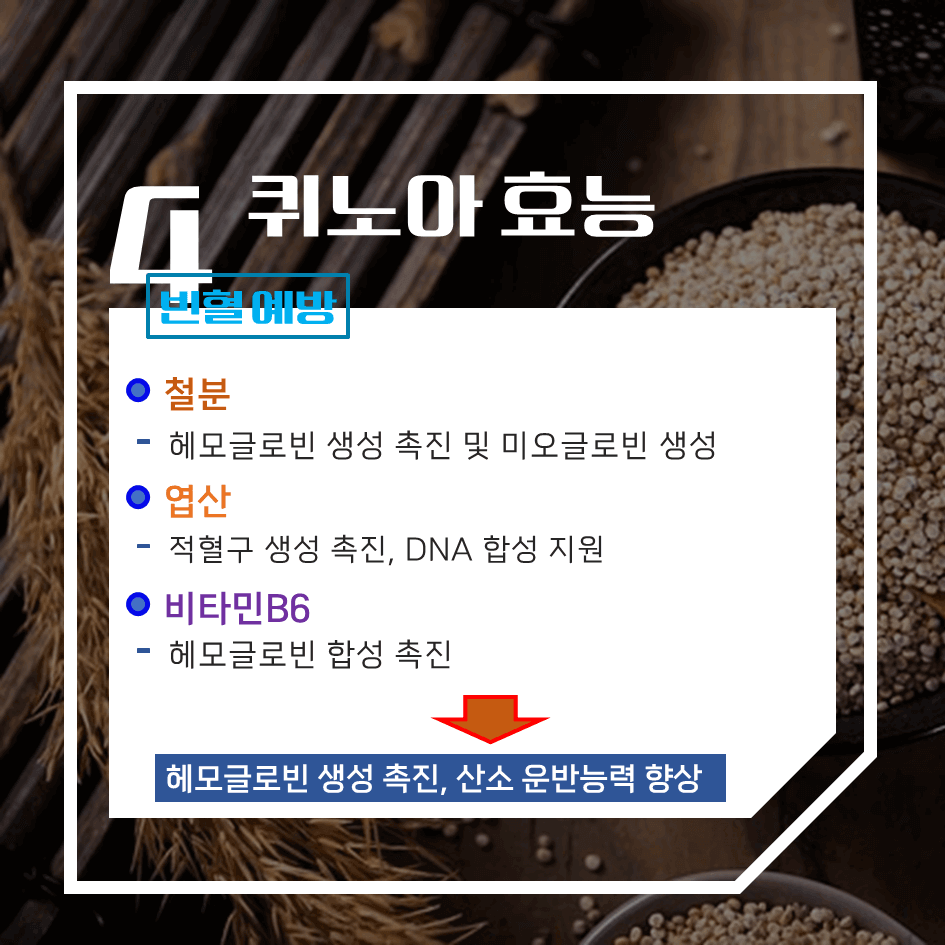 완전 단백질의 슈퍼푸드 퀴노아 효능 & 칼로리 1탄 : 건강과 균형 잡힌 식단의 필수템