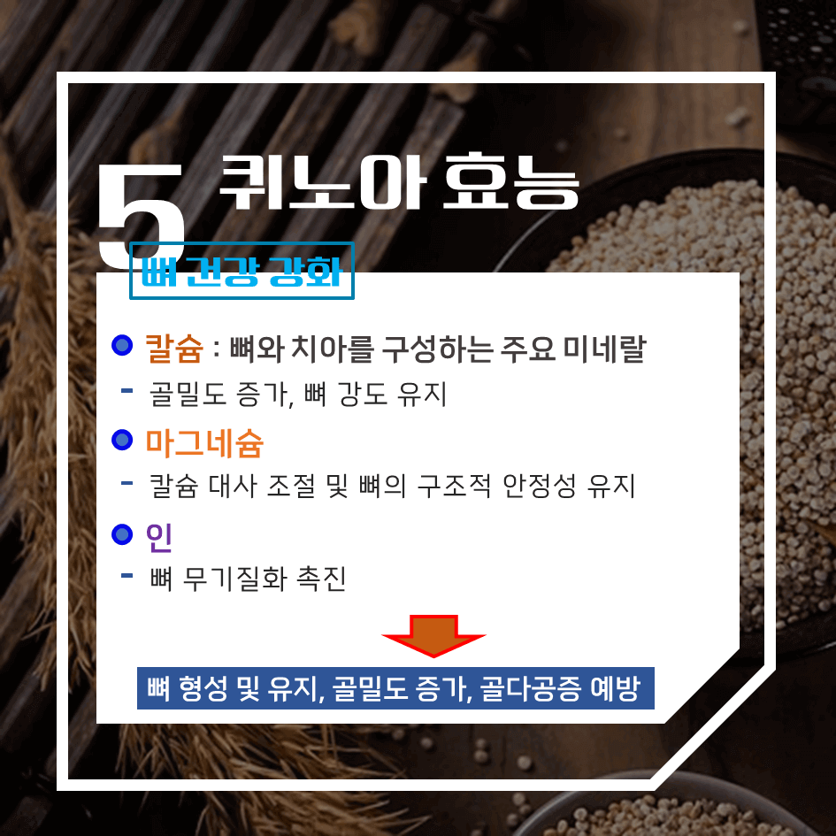 완전 단백질의 슈퍼푸드 퀴노아 효능 & 칼로리 1탄 : 건강과 균형 잡힌 식단의 필수템