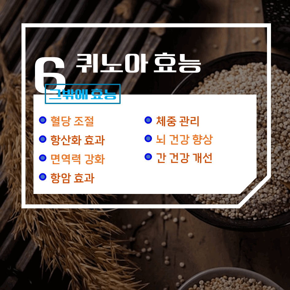 완전 단백질의 슈퍼푸드 퀴노아 효능 & 칼로리 1탄 : 건강과 균형 잡힌 식단의 필수템