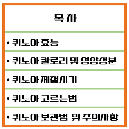 완전 단백질의 슈퍼푸드 퀴노아 효능 & 칼로리 1탄 : 건강과 균형 잡힌 식단의 필수템