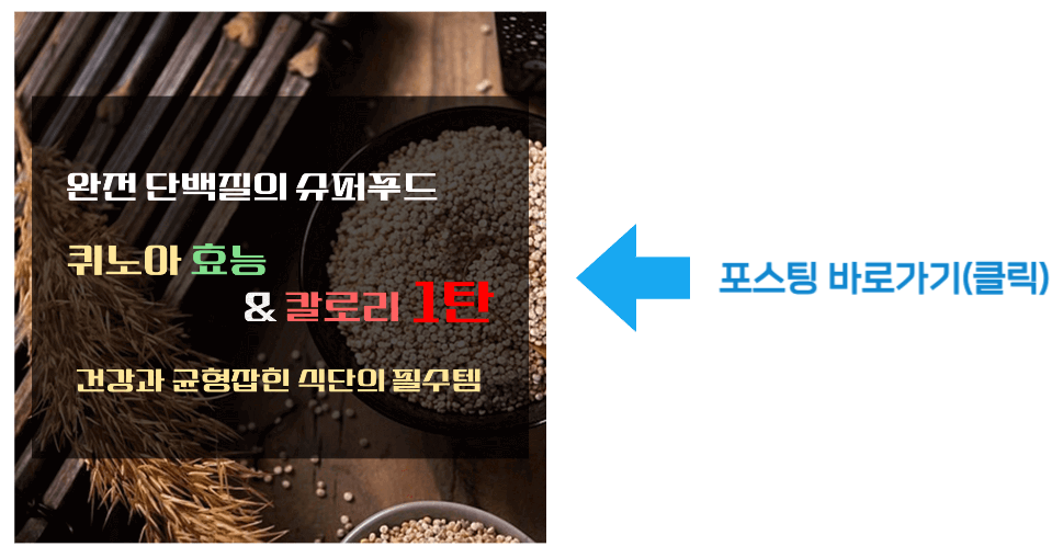 완전 단백질의 슈퍼푸드 퀴노아 효능 & 칼로리 1탄 바로가기