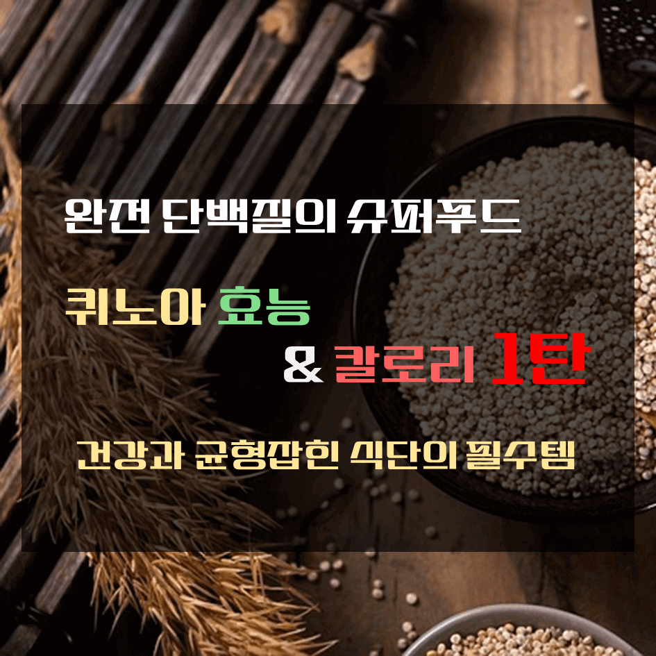 완전 단백질의 슈퍼푸드 퀴노아 효능 & 칼로리 1탄 : 건강과 균형 잡힌 식단의 필수템
