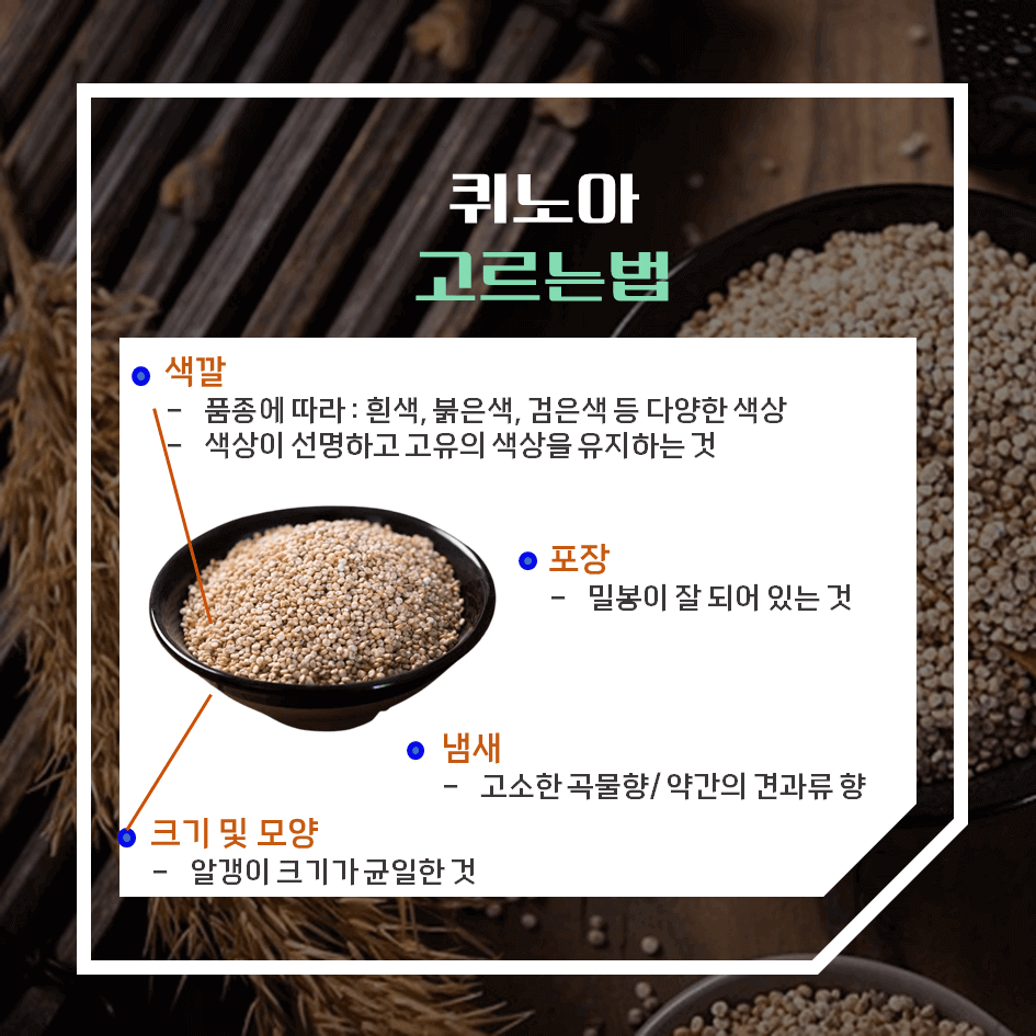 완전 단백질의 슈퍼푸드 퀴노아 효능 & 칼로리 2탄 : 고르는 법 & 보관법 완벽 가이드