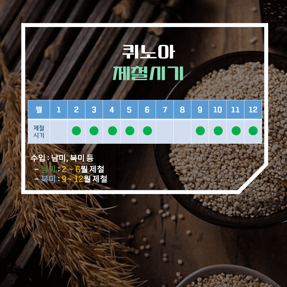 완전 단백질의 슈퍼푸드 퀴노아 효능 & 칼로리 2탄 : 고르는 법 & 보관법 완벽 가이드