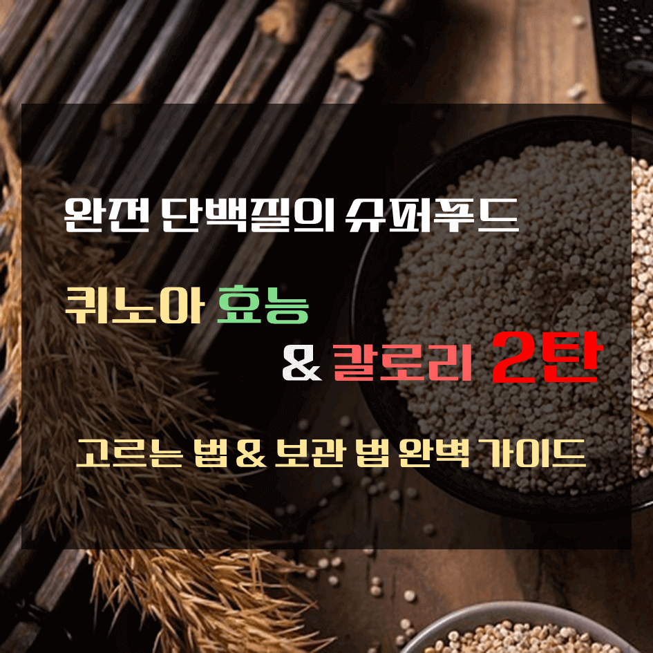 완전 단백질의 슈퍼푸드 퀴노아 효능 & 칼로리 2탄 : 고르는 법 & 보관법 완벽 가이드