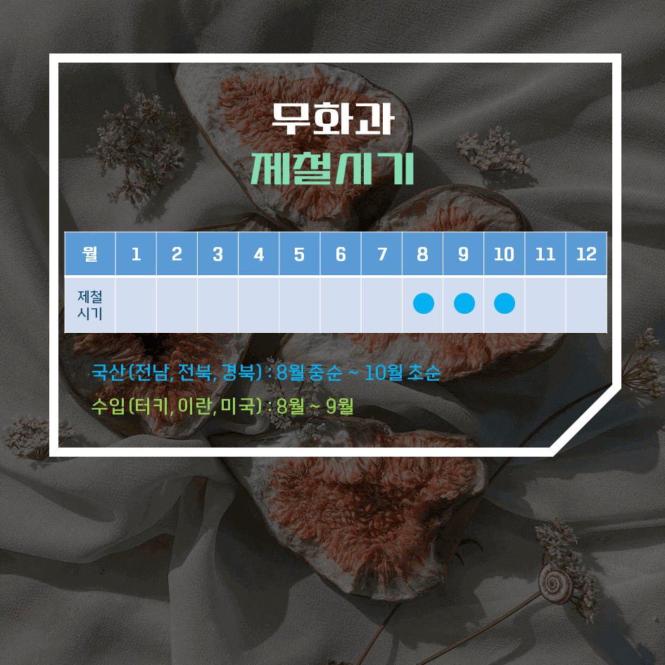 달콤한 천연 건강 간식! 건무화과 효능 & 칼로리 2탄 : 곰팡이 없이 보관하기 & 고르기 팁