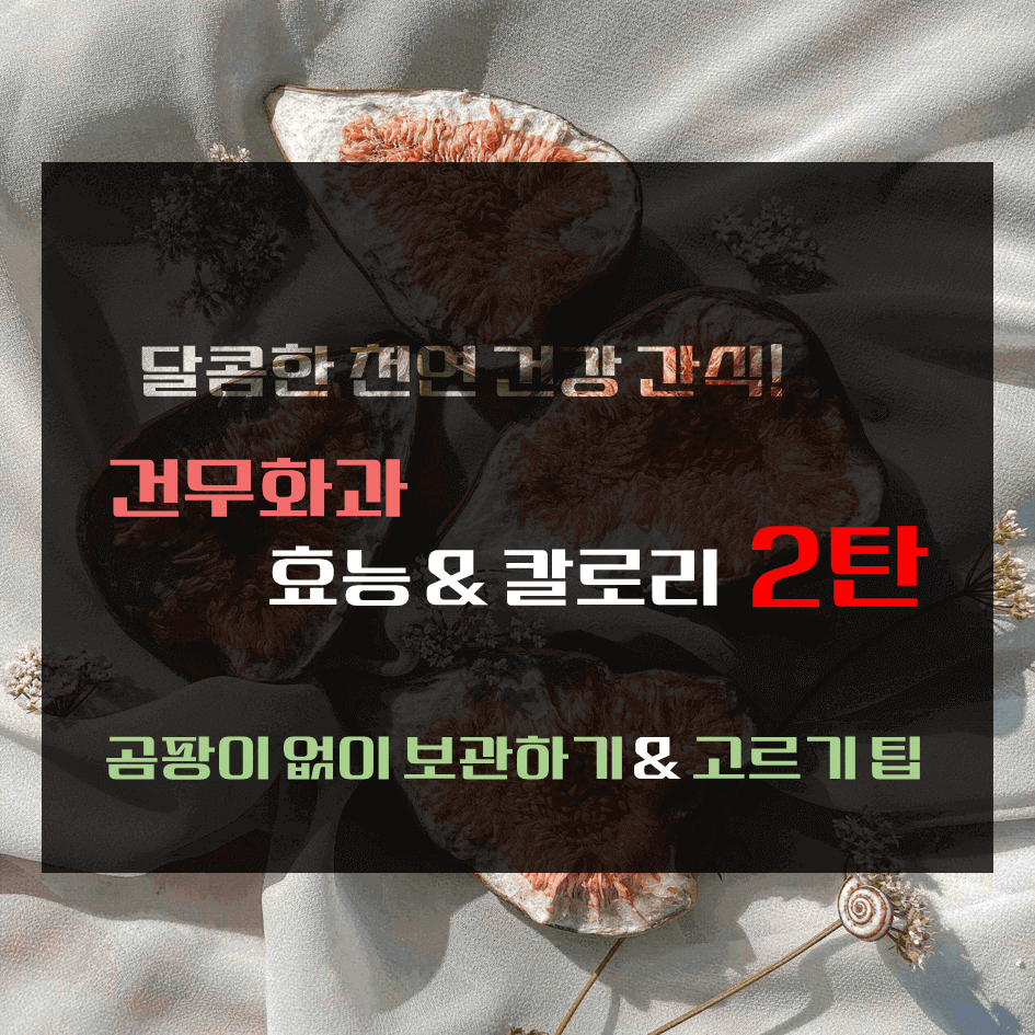 달콤한 천연 건강 간식! 건무화과 효능 & 칼로리 2탄 : 곰팡이 없이 보관하기 & 고르기 팁